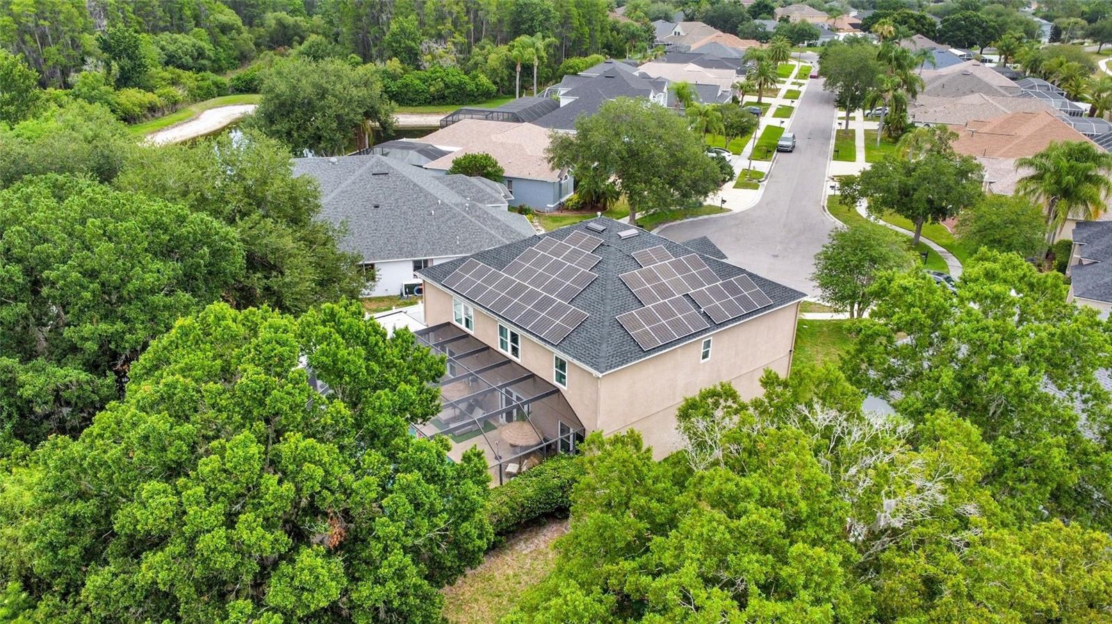 3103 ASHMONTE DR, LAND O LAKES, FL, 34638