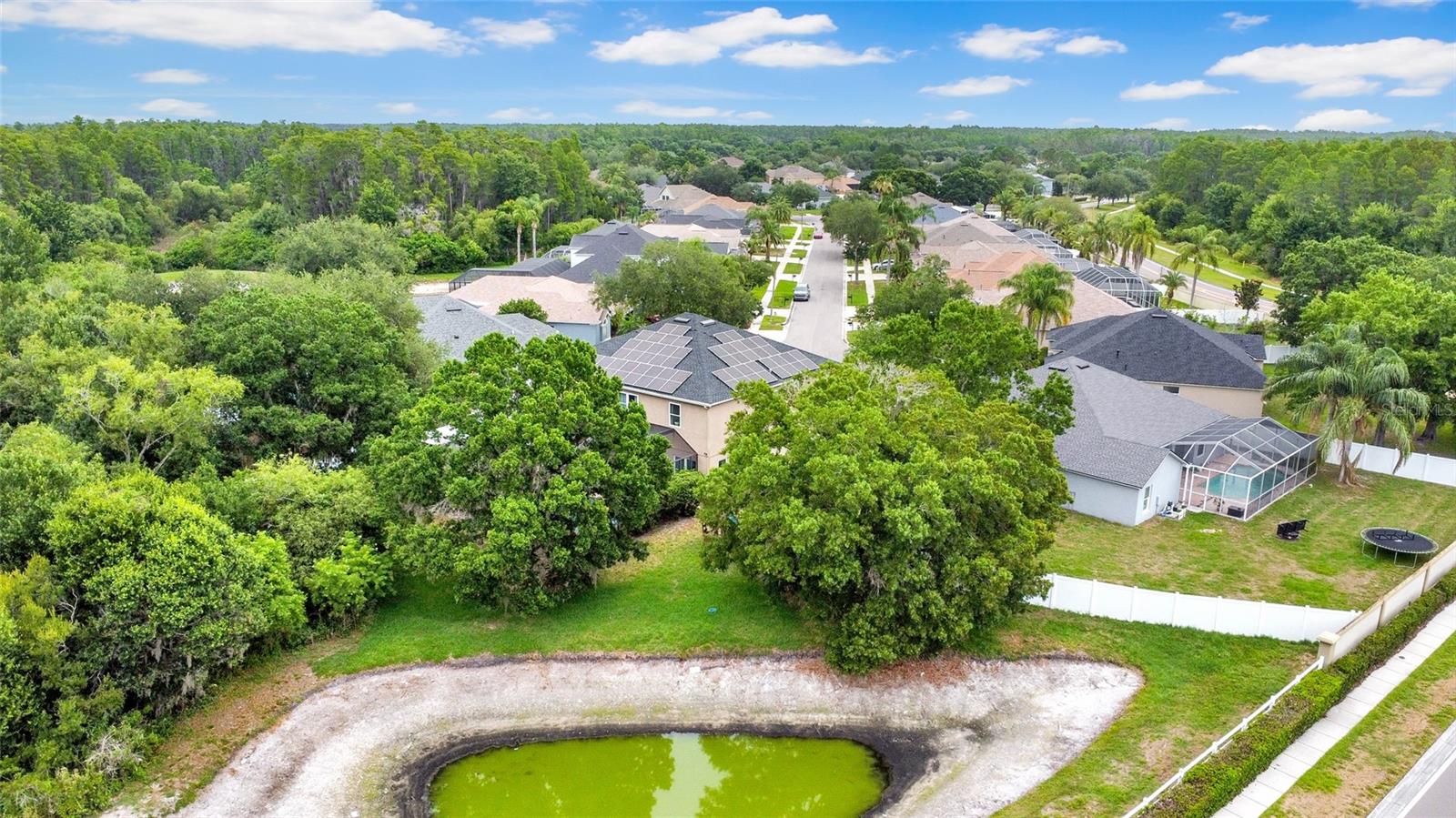 3103 ASHMONTE DR, LAND O LAKES, FL, 34638