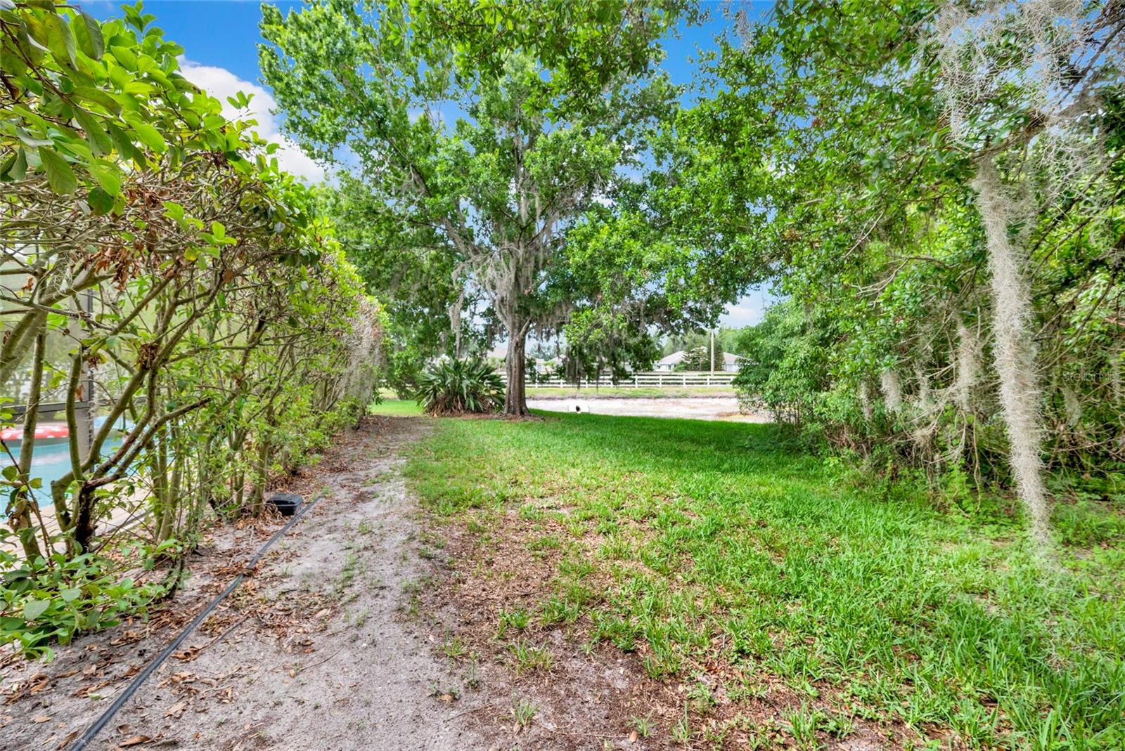 3103 ASHMONTE DR, LAND O LAKES, FL, 34638