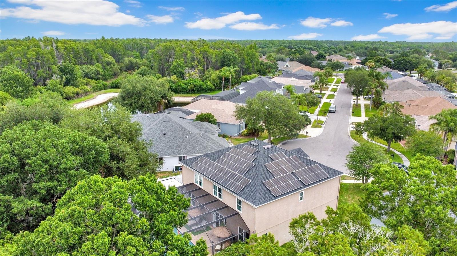 3103 ASHMONTE DR, LAND O LAKES, FL, 34638