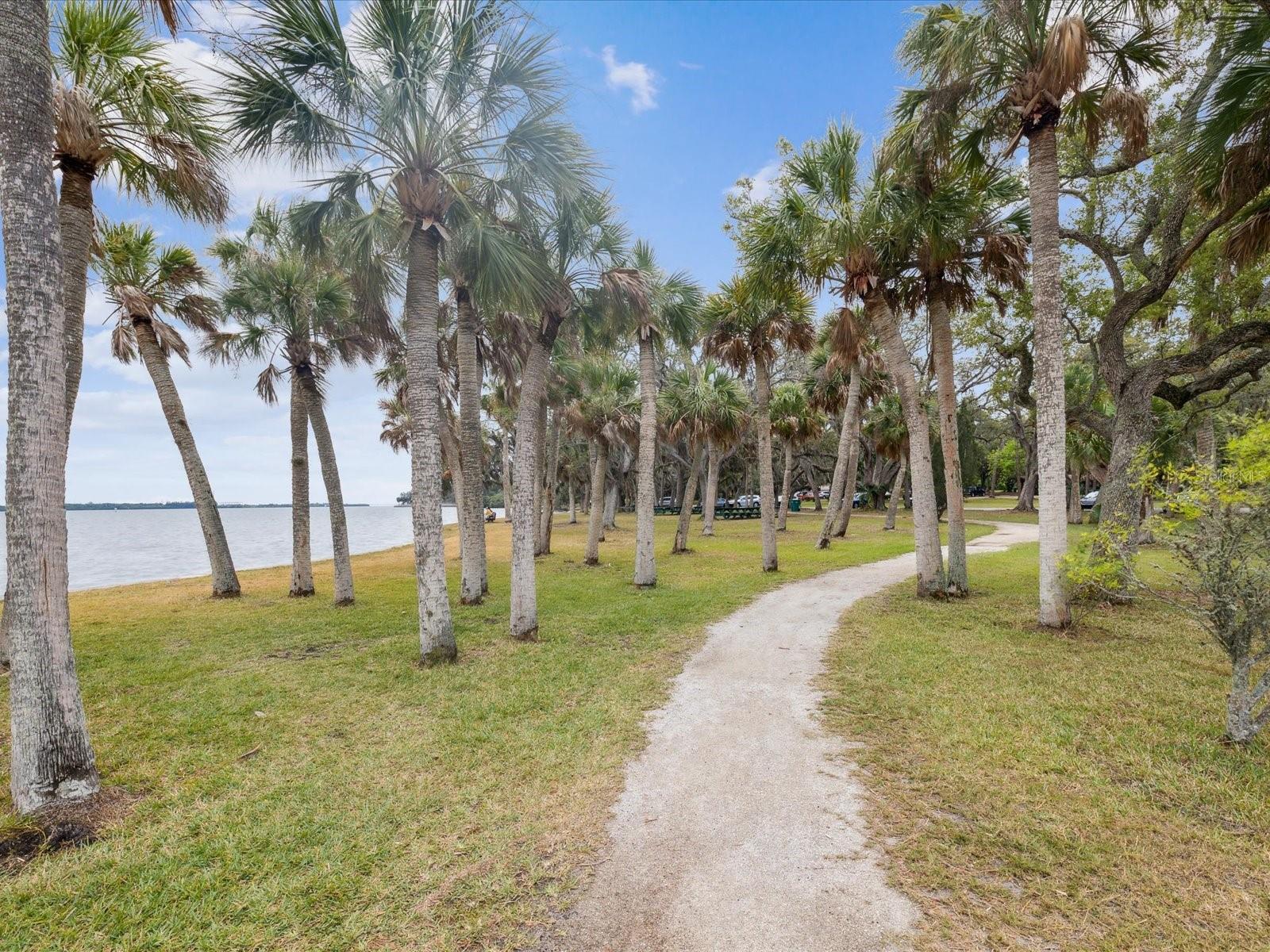 150 SUNCREST DR, SAFETY HARBOR, FL, 34695
