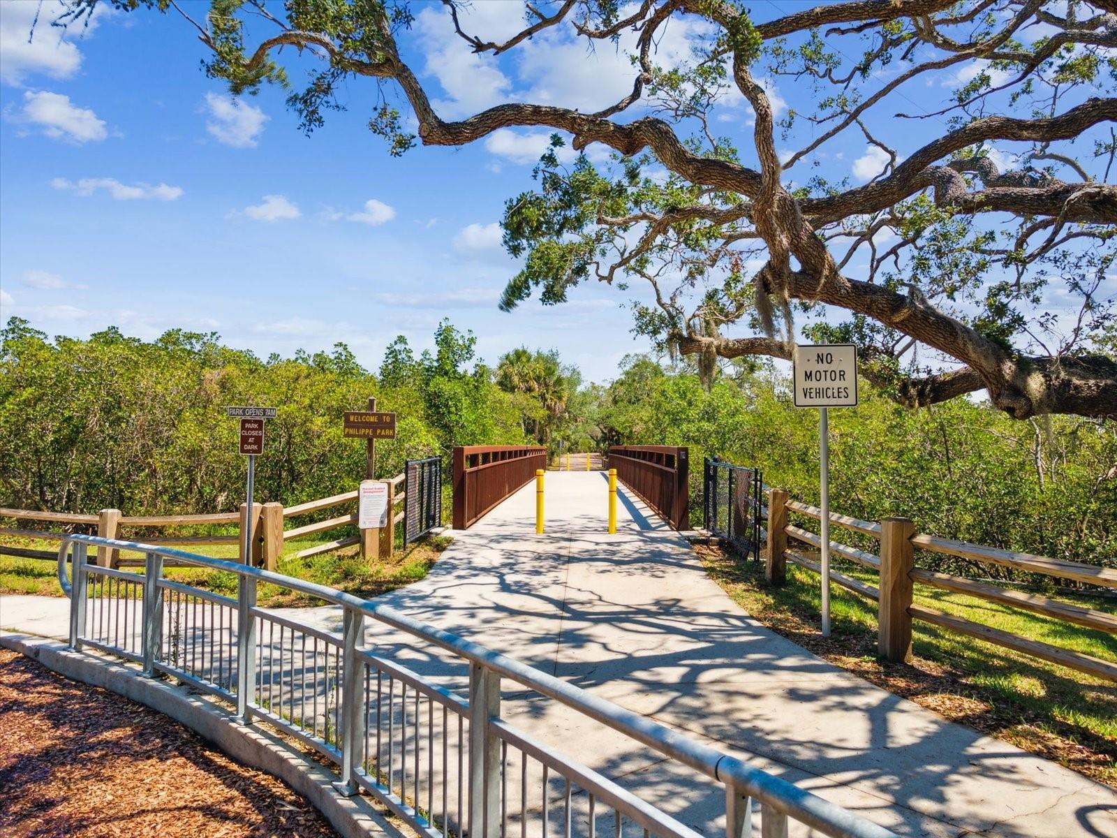 150 SUNCREST DR, SAFETY HARBOR, FL, 34695