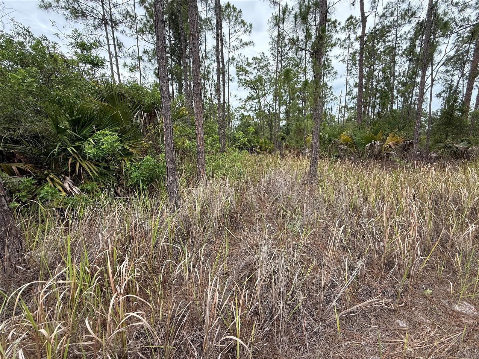 1106 W 13TH ST, LEHIGH ACRES, FL, 33972