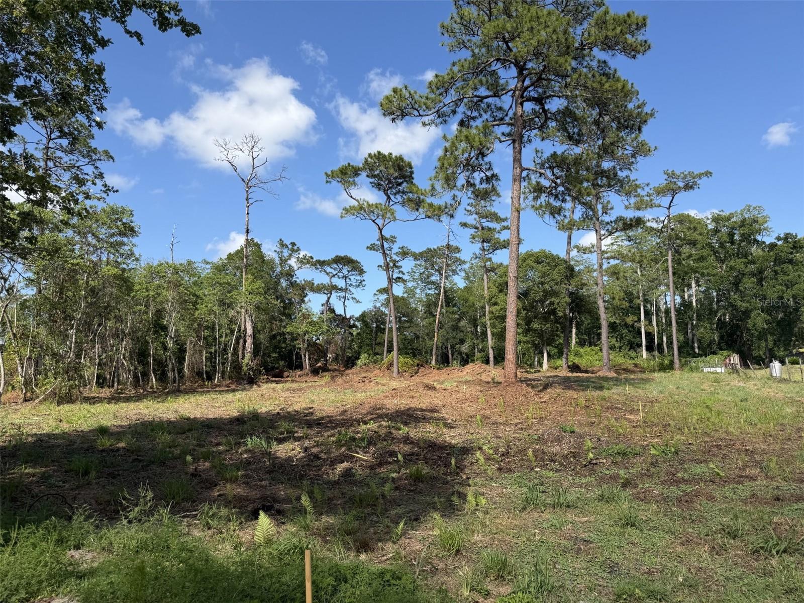 1005 JUNIPER DR, CHRISTMAS, FL, 32709