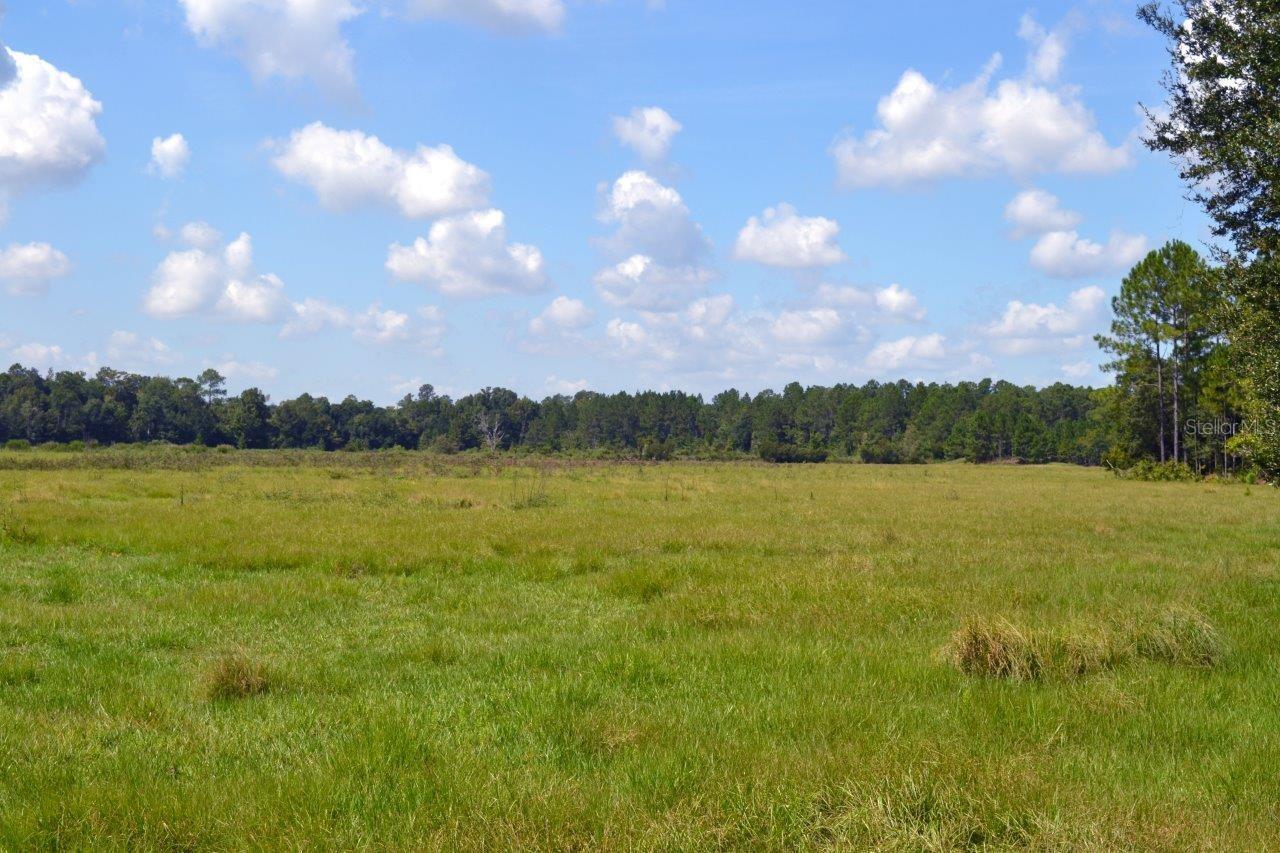 NW 202ND STREET, HIGH SPRINGS, FL, 32643