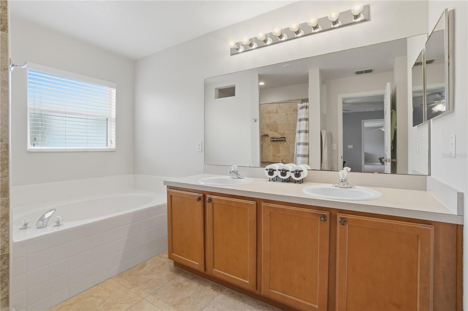 969 HORSESHOE FALLS DR, ORLANDO, FL, 32828
