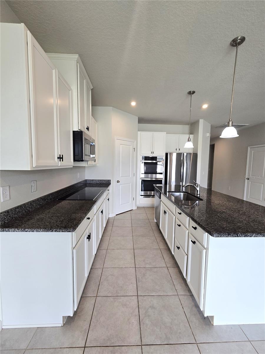 10156 AGAVE CT, LAND O LAKES, FL, 34638