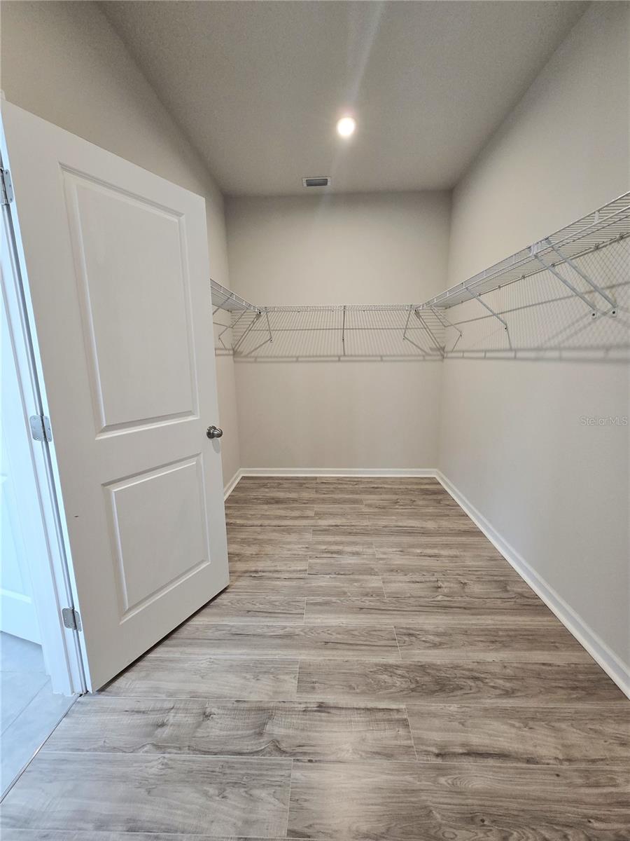 10156 AGAVE CT, LAND O LAKES, FL, 34638