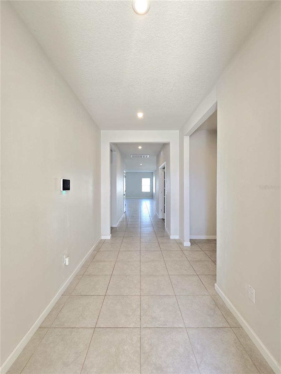 10156 AGAVE CT, LAND O LAKES, FL, 34638