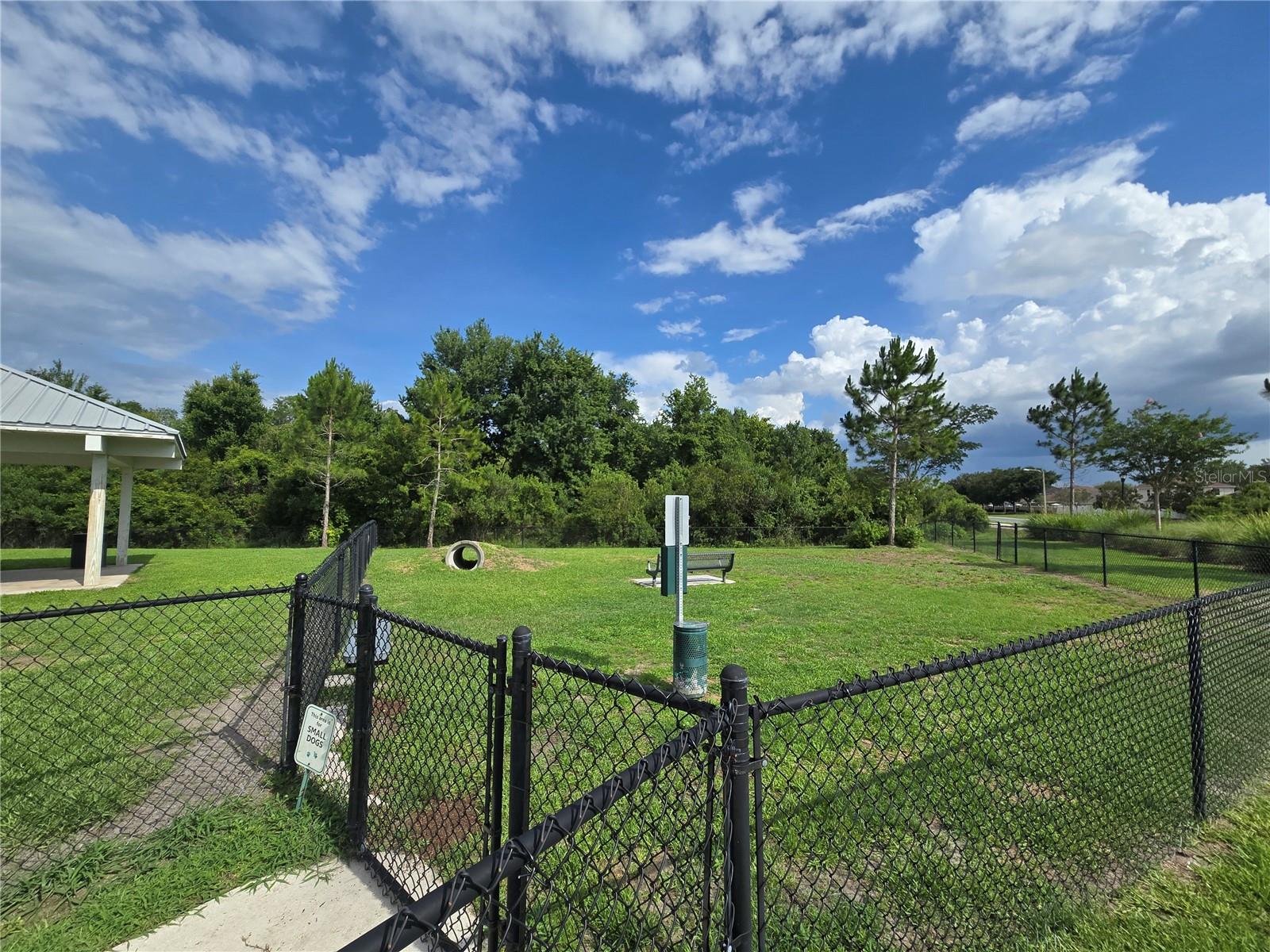 10156 AGAVE CT, LAND O LAKES, FL, 34638