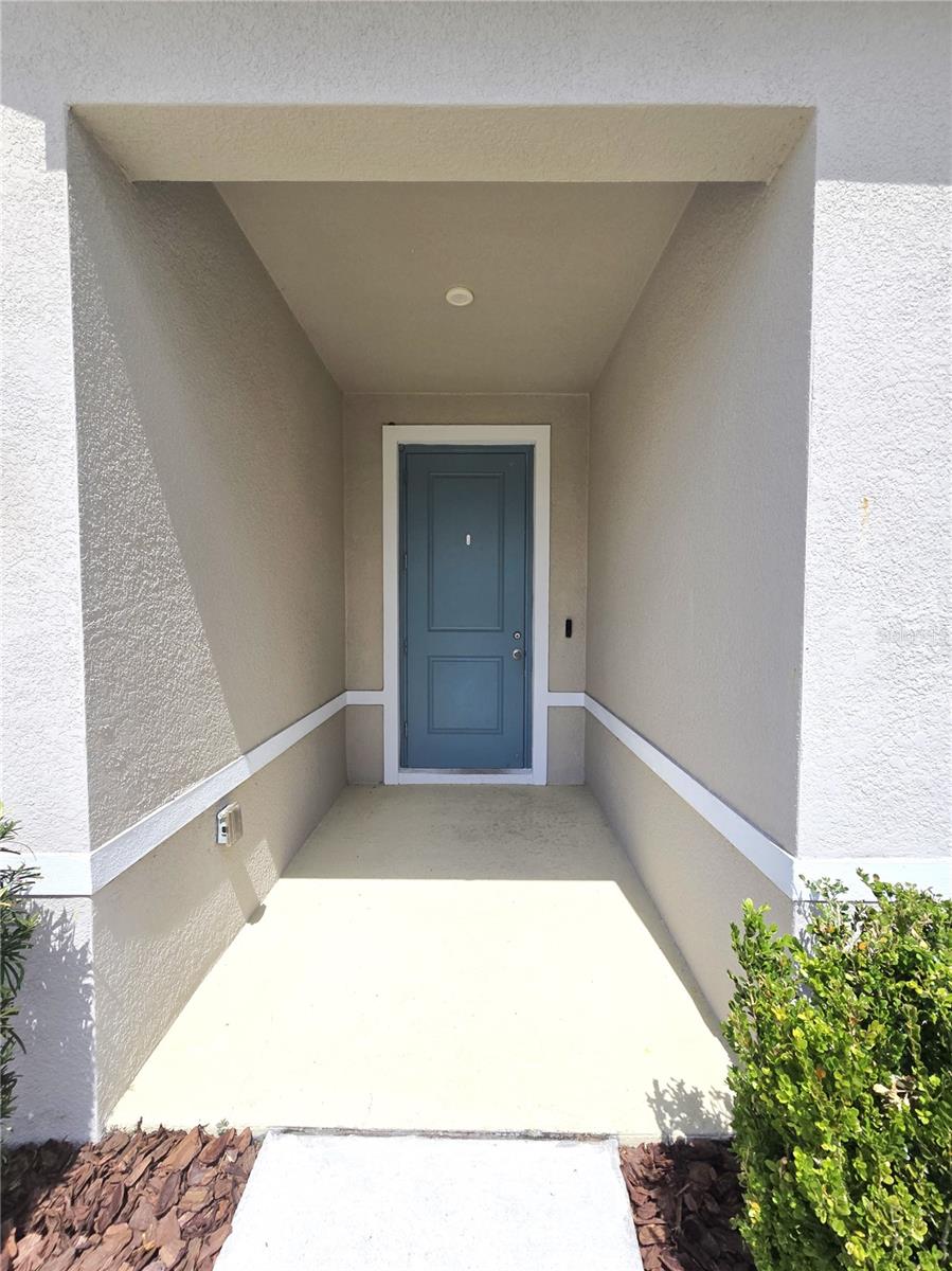 10156 AGAVE CT, LAND O LAKES, FL, 34638
