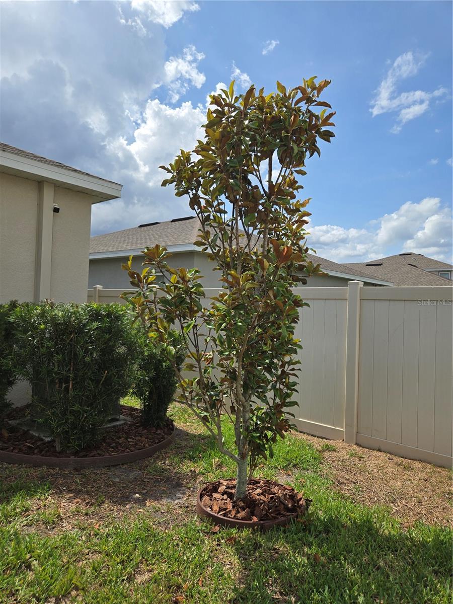 10156 AGAVE CT, LAND O LAKES, FL, 34638