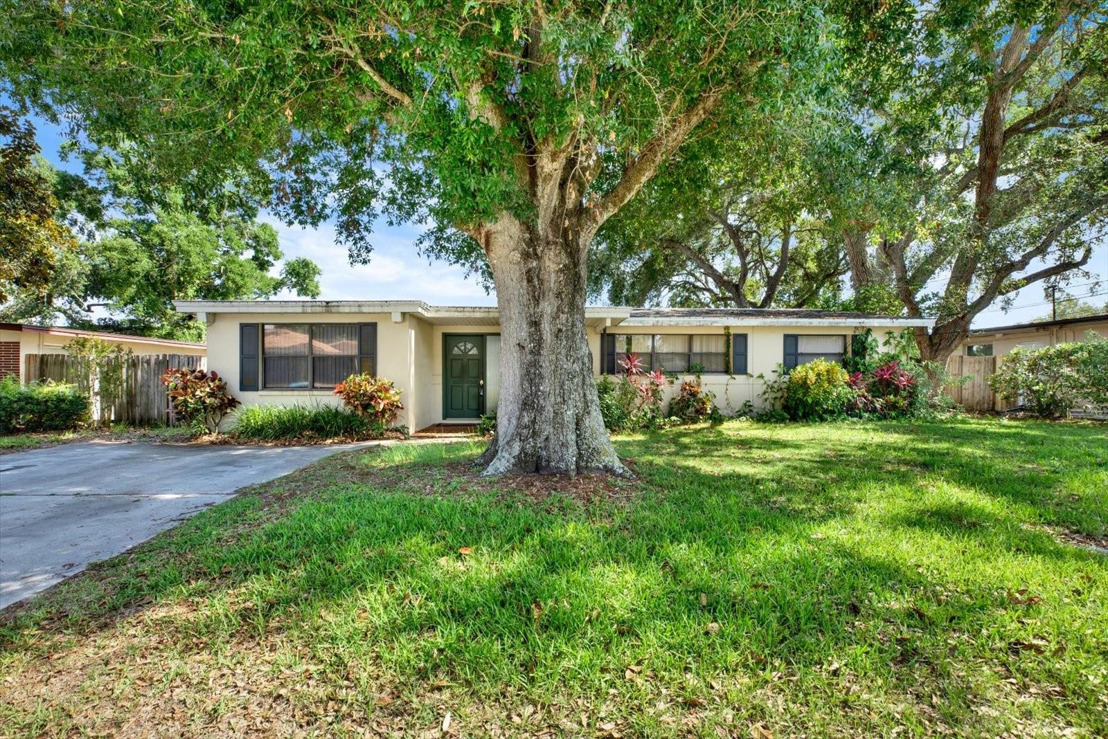 2215 CURTIS DR S, CLEARWATER, FL, 33764