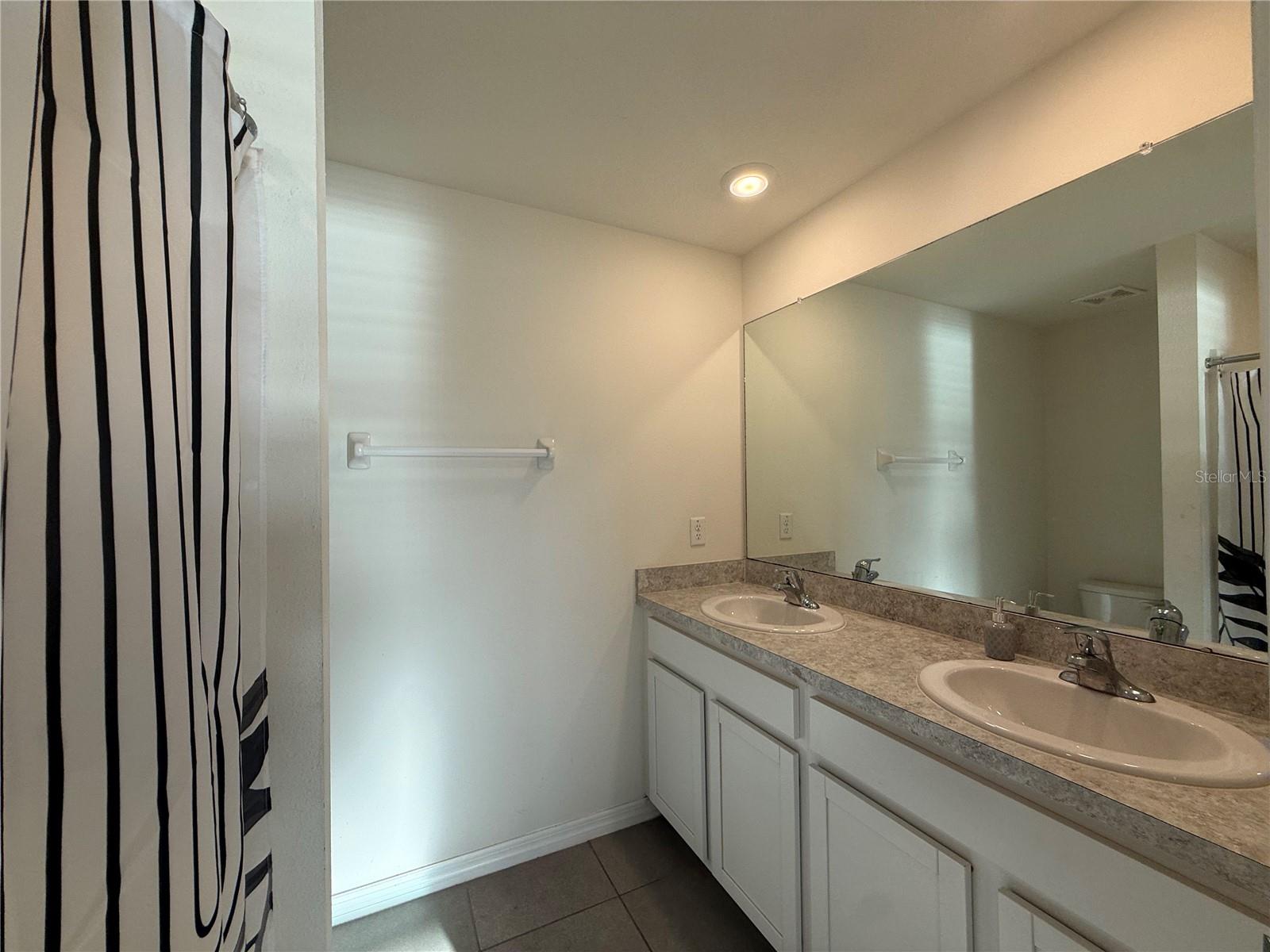 578 OLIVE CONCH ST, RUSKIN, FL, 33570