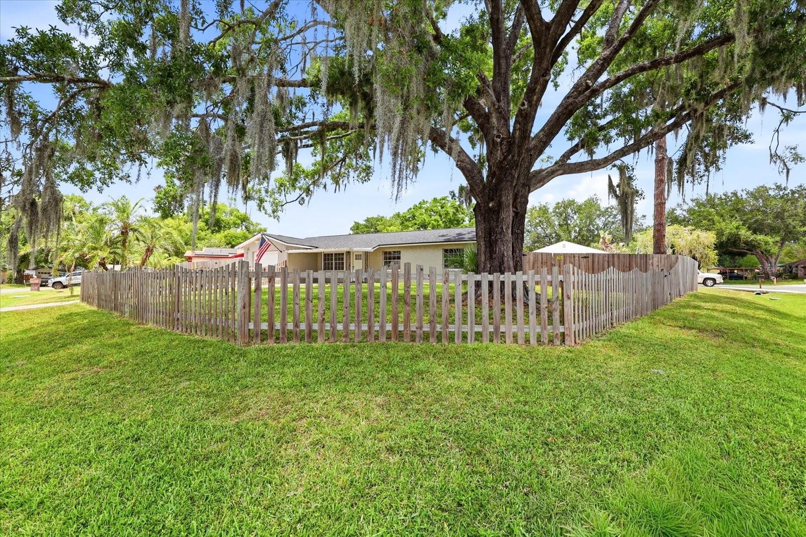 2429 MARTHA LN, LAND O LAKES, FL, 34639