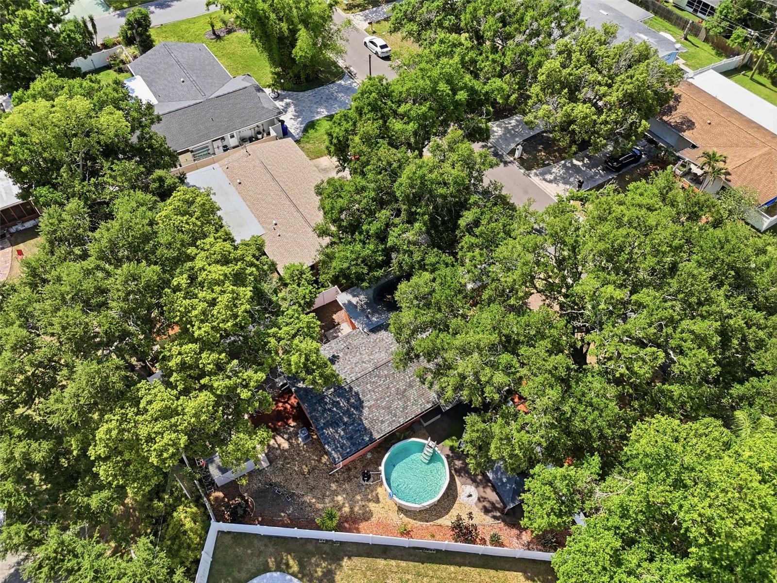 961 LEXINGTON DR, DUNEDIN, FL, 34698