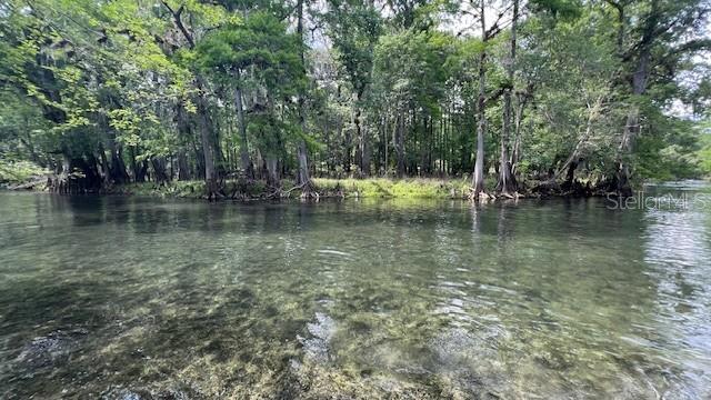 SW BUMBLE ST, FORT WHITE, FL, 32038