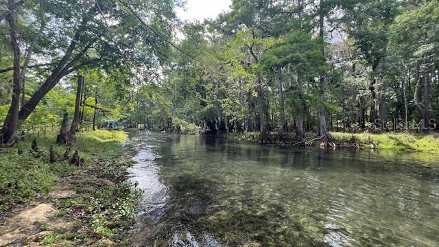 SW BUMBLE ST, FORT WHITE, FL, 32038