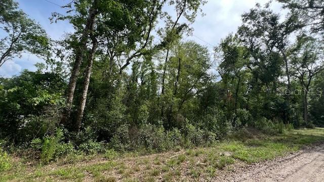 SW BUMBLE ST, FORT WHITE, FL, 32038