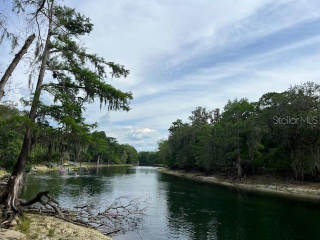 SW BUMBLE ST, FORT WHITE, FL, 32038