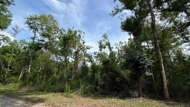 SW BUMBLE ST, FORT WHITE, FL, 32038