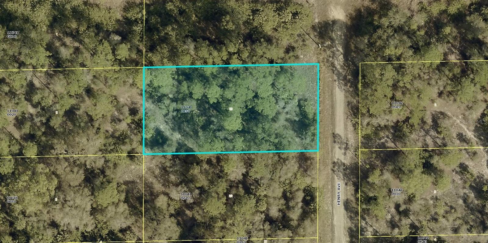 1521 HENRY AVE, LEHIGH ACRES, FL, 33972