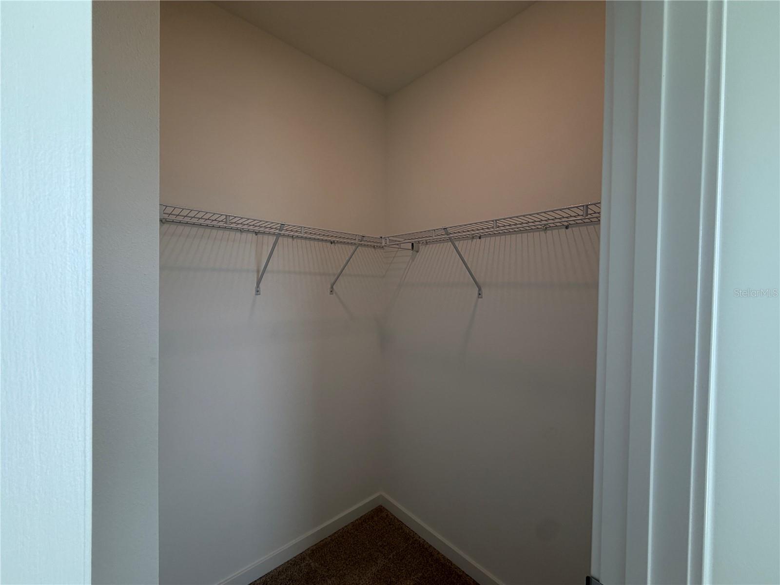6888 GILLY SHADOW ST, WESLEY CHAPEL, FL, 33545