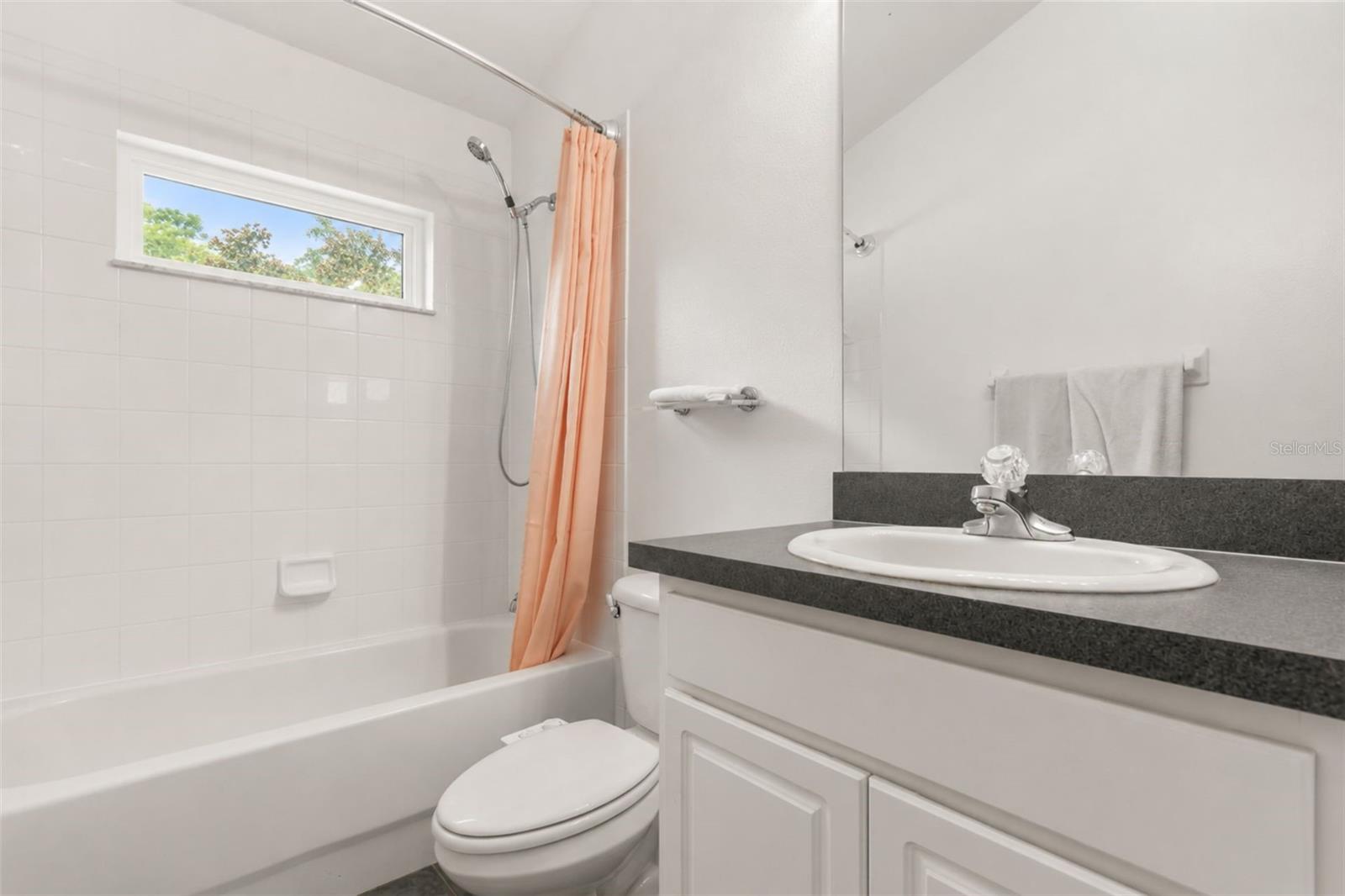 15738 CEDAR ELM TER, LAND O LAKES, FL, 34638
