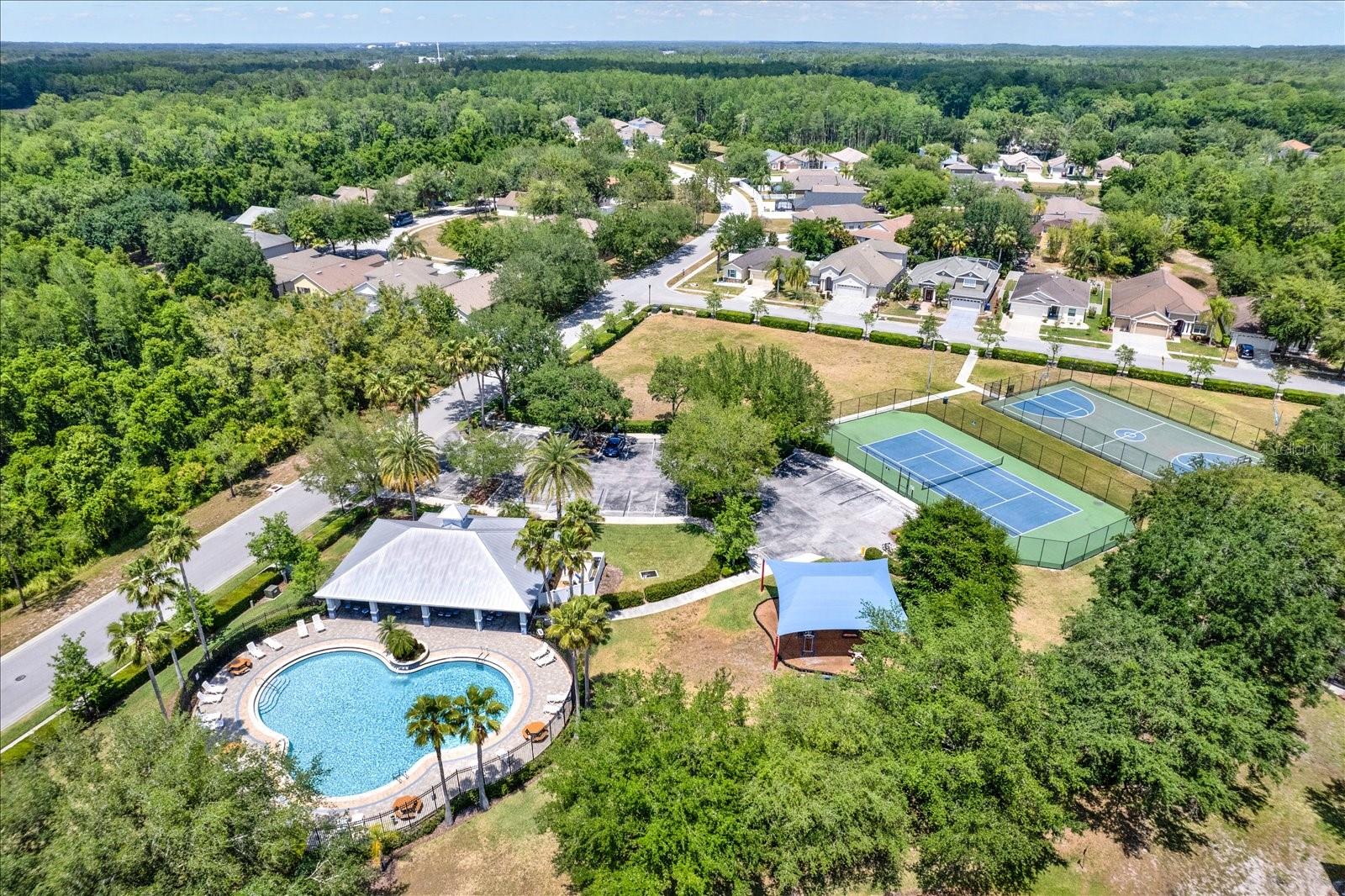 15738 CEDAR ELM TER, LAND O LAKES, FL, 34638