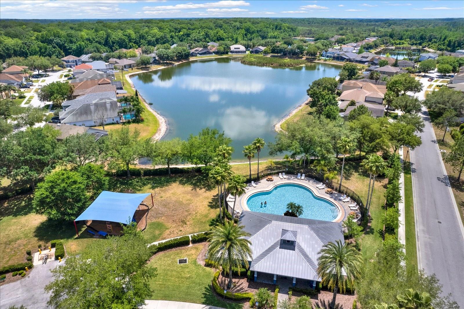 15738 CEDAR ELM TER, LAND O LAKES, FL, 34638