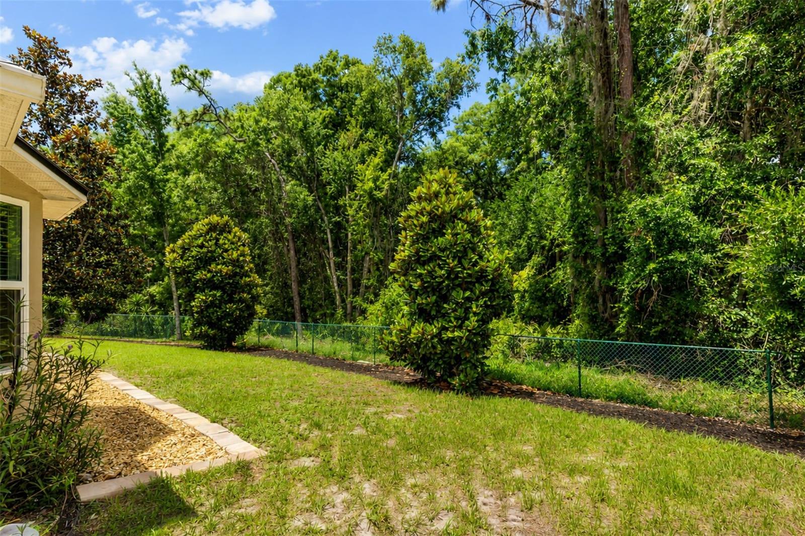 15738 CEDAR ELM TER, LAND O LAKES, FL, 34638