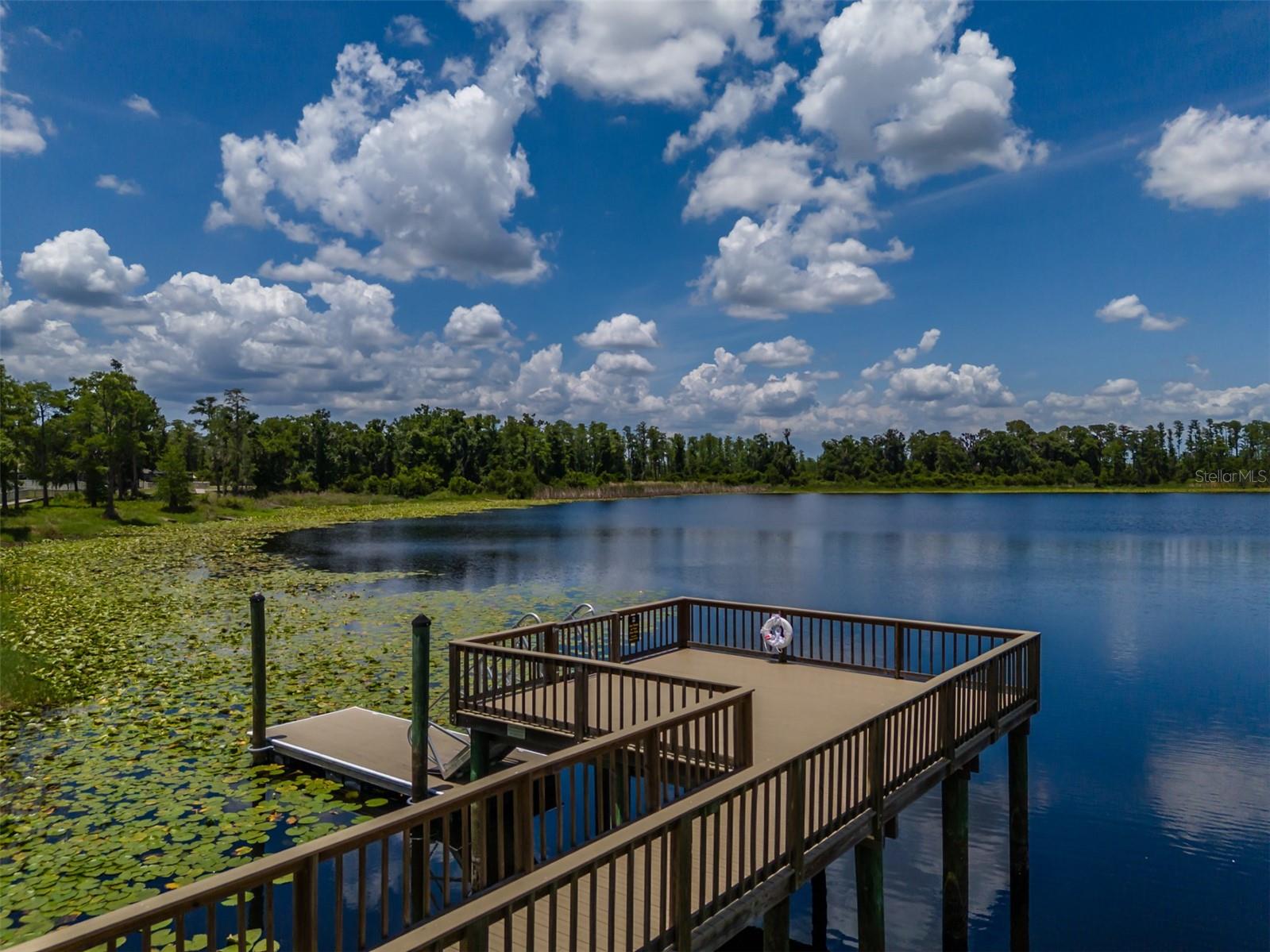1686 CHERRY WALK RD, LUTZ, FL, 33558