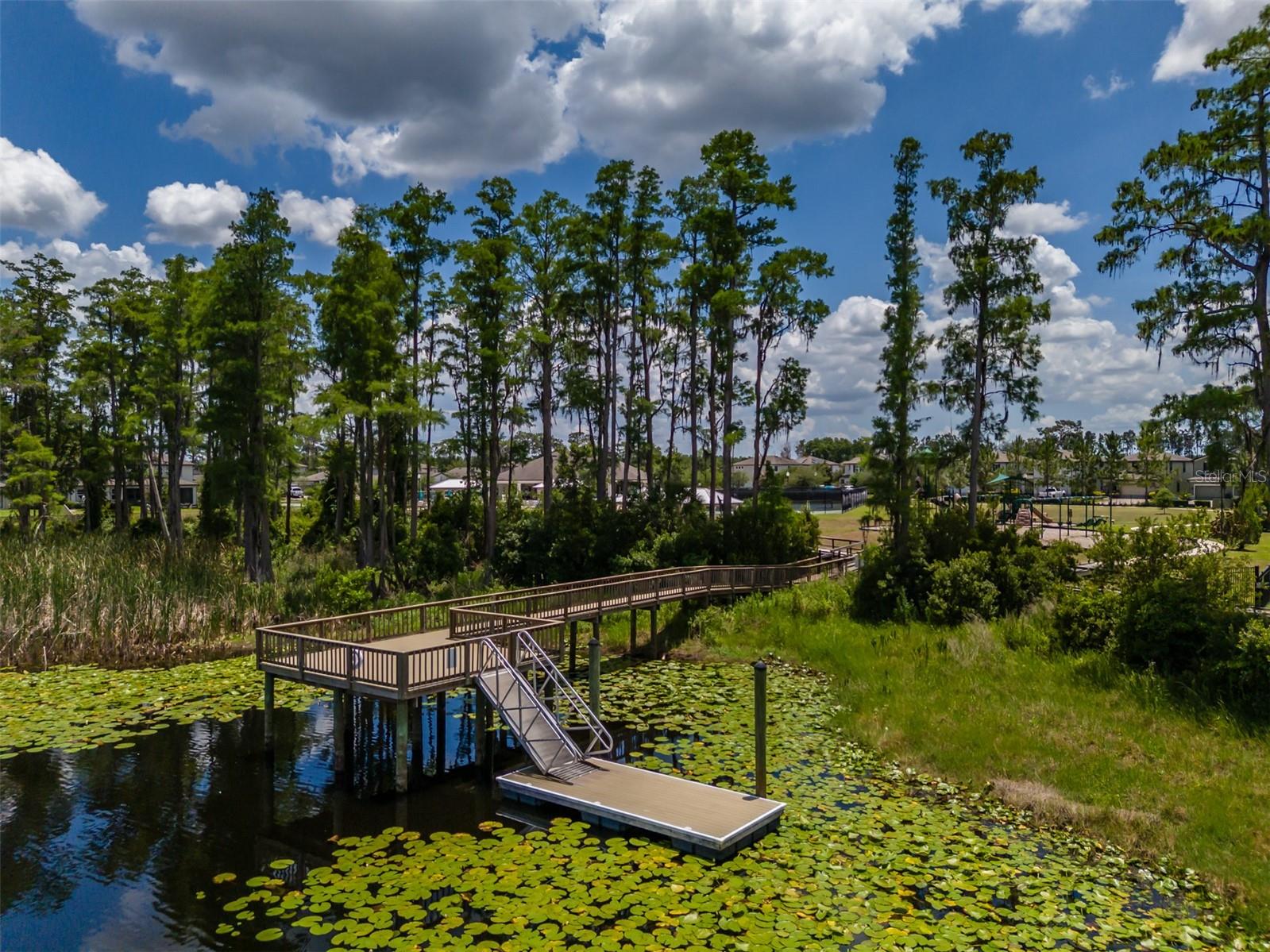 1686 CHERRY WALK RD, LUTZ, FL, 33558