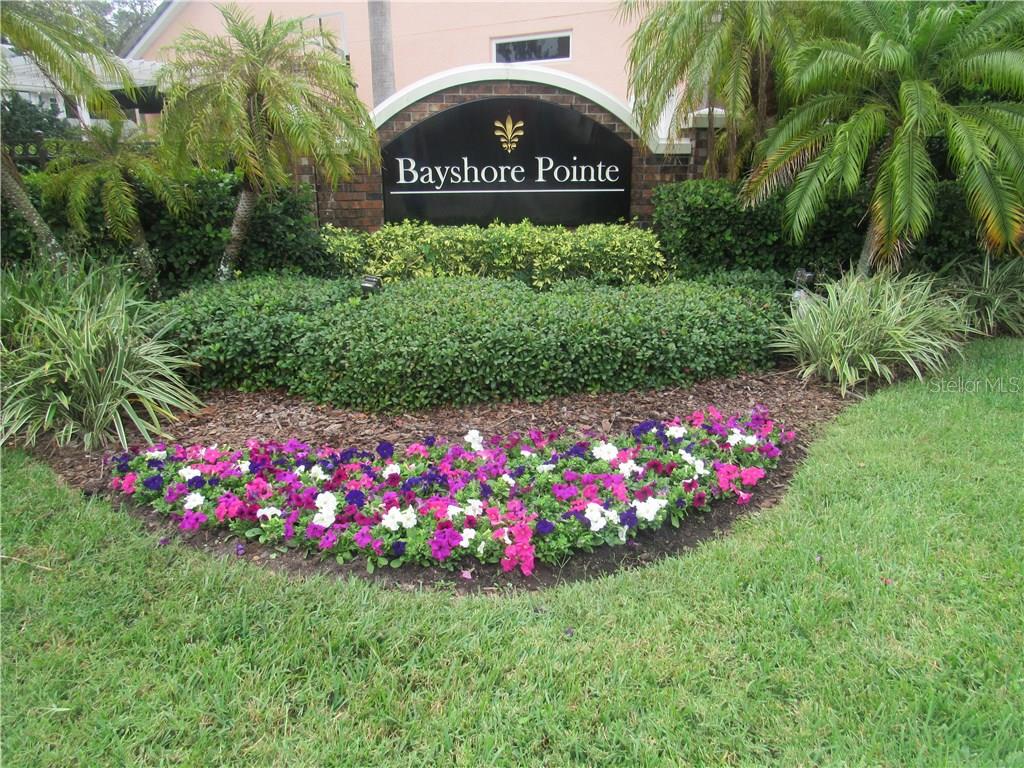 2914 BAYSHORE POINTE DR, TAMPA, FL, 33611