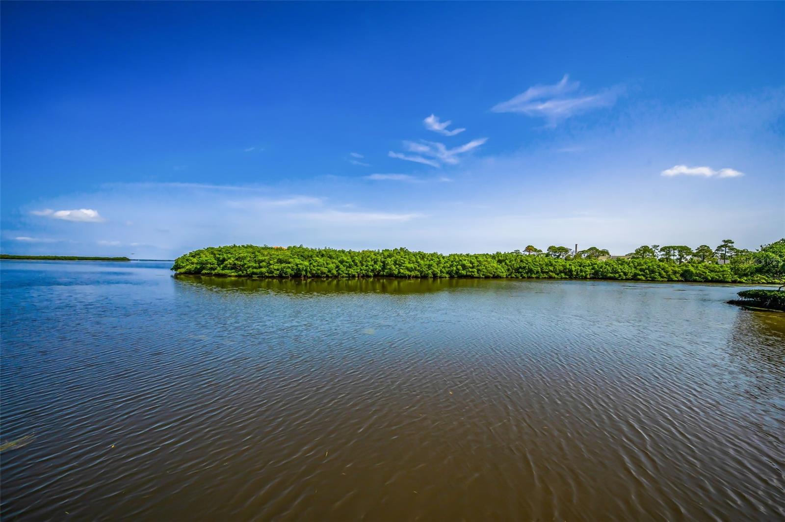 1620 SEA BREEZE DR, TARPON SPRINGS, FL, 34689