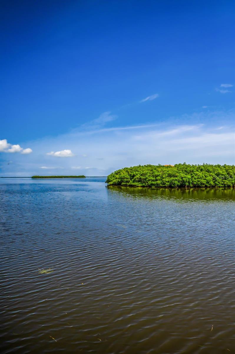 1620 SEA BREEZE DR, TARPON SPRINGS, FL, 34689