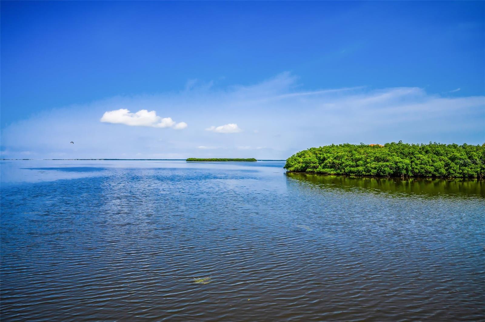 1620 SEA BREEZE DR, TARPON SPRINGS, FL, 34689
