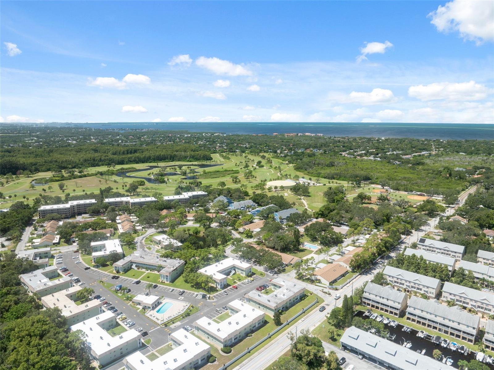 1250 S PINELLAS AVE #910, TARPON SPRINGS, FL, 34689