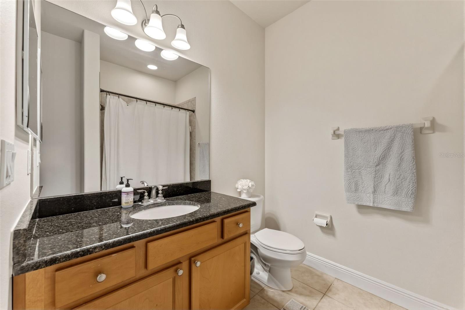 10285 VILLA PALAZZO CT, TAMPA, FL, 33615