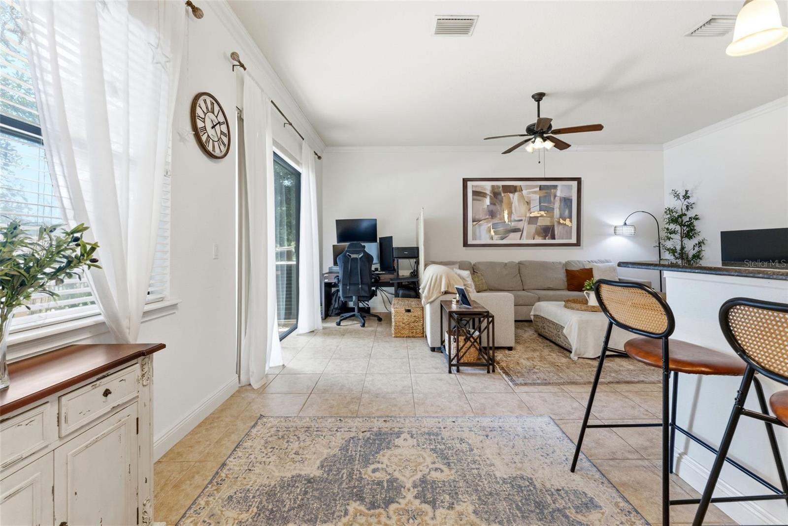 10285 VILLA PALAZZO CT, TAMPA, FL, 33615