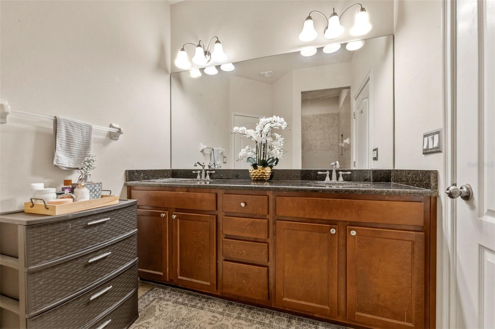 10285 VILLA PALAZZO CT, TAMPA, FL, 33615