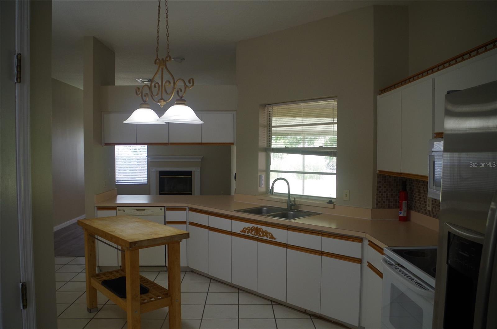 4207 ELBA PL, VALRICO, FL, 33596