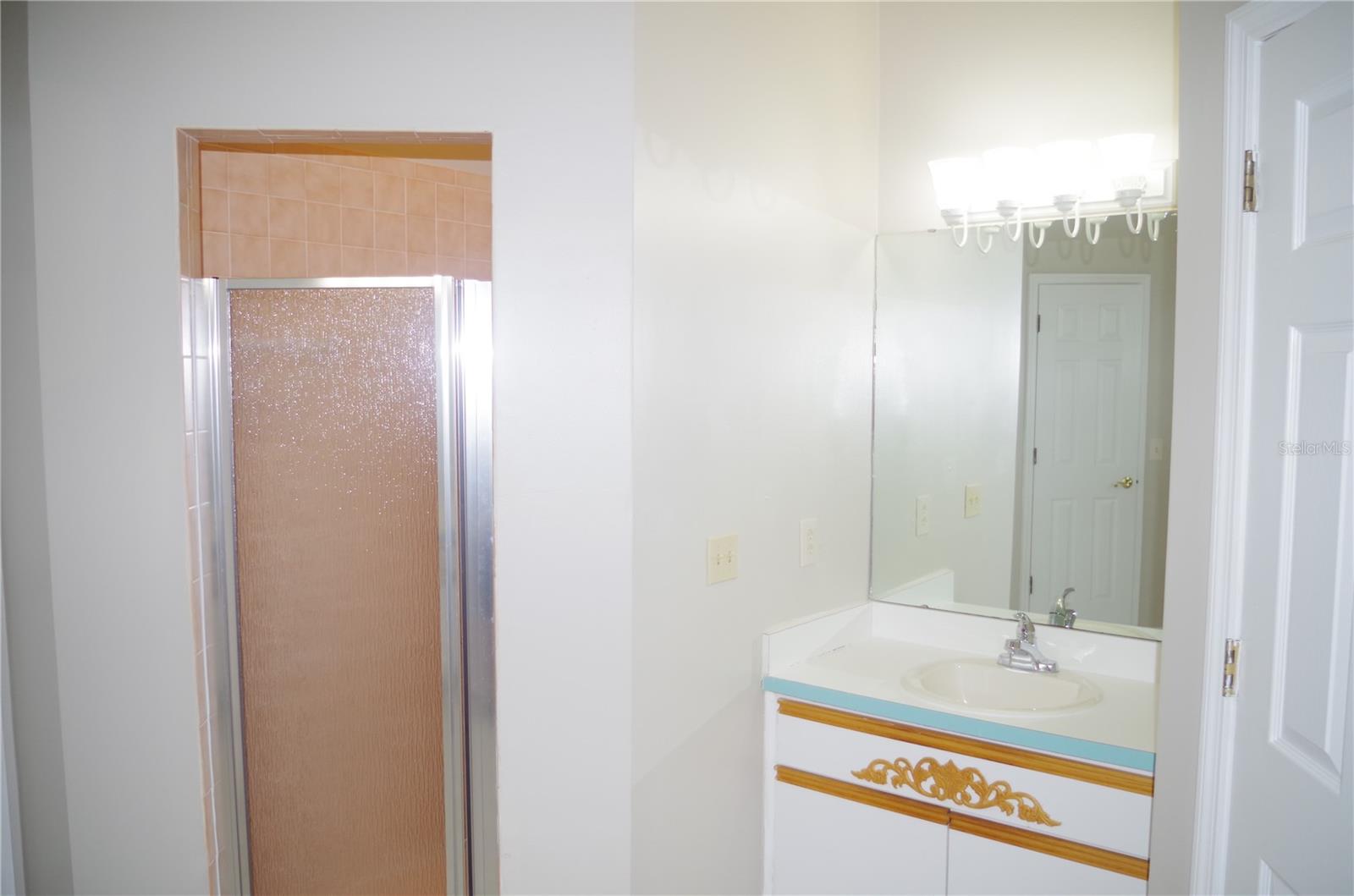 4207 ELBA PL, VALRICO, FL, 33596
