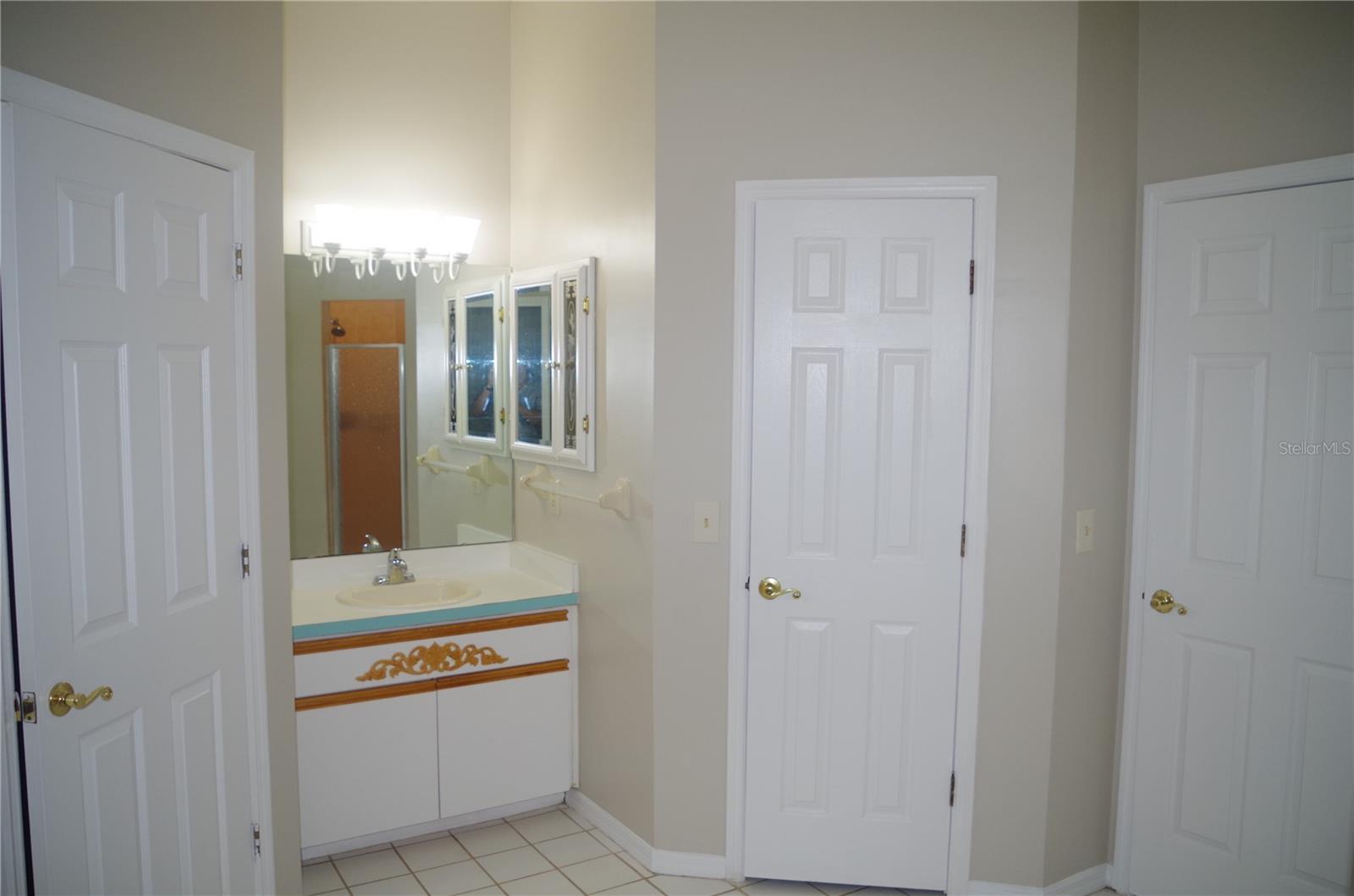 4207 ELBA PL, VALRICO, FL, 33596