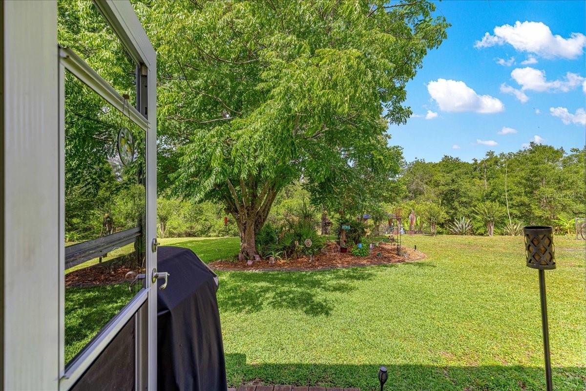 2964 S CYGNET TER, INVERNESS, FL, 34450