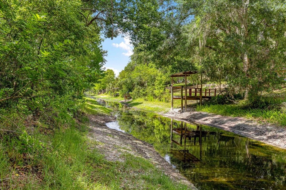 2964 S CYGNET TER, INVERNESS, FL, 34450