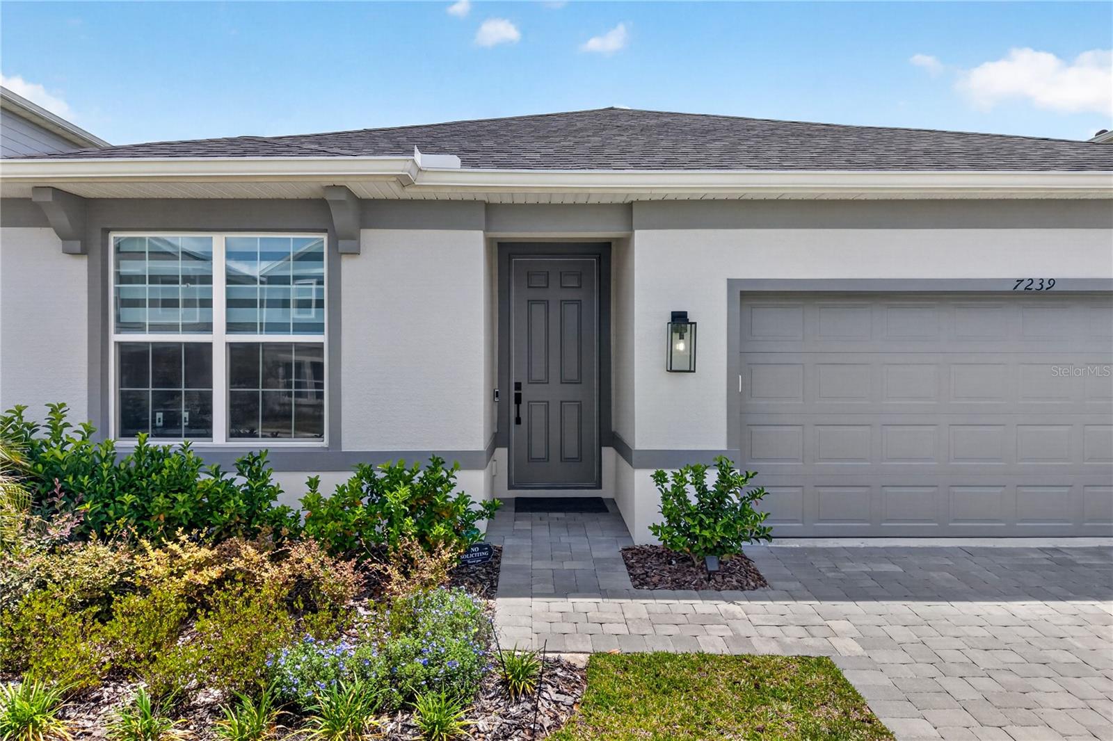 7239 IVY TENDRIL AVE, ORLANDO, FL, 32829