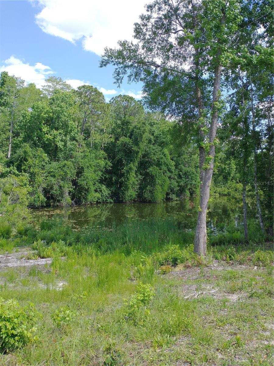 0000 EAGLE BLVD, LAND O LAKES, FL, 34639