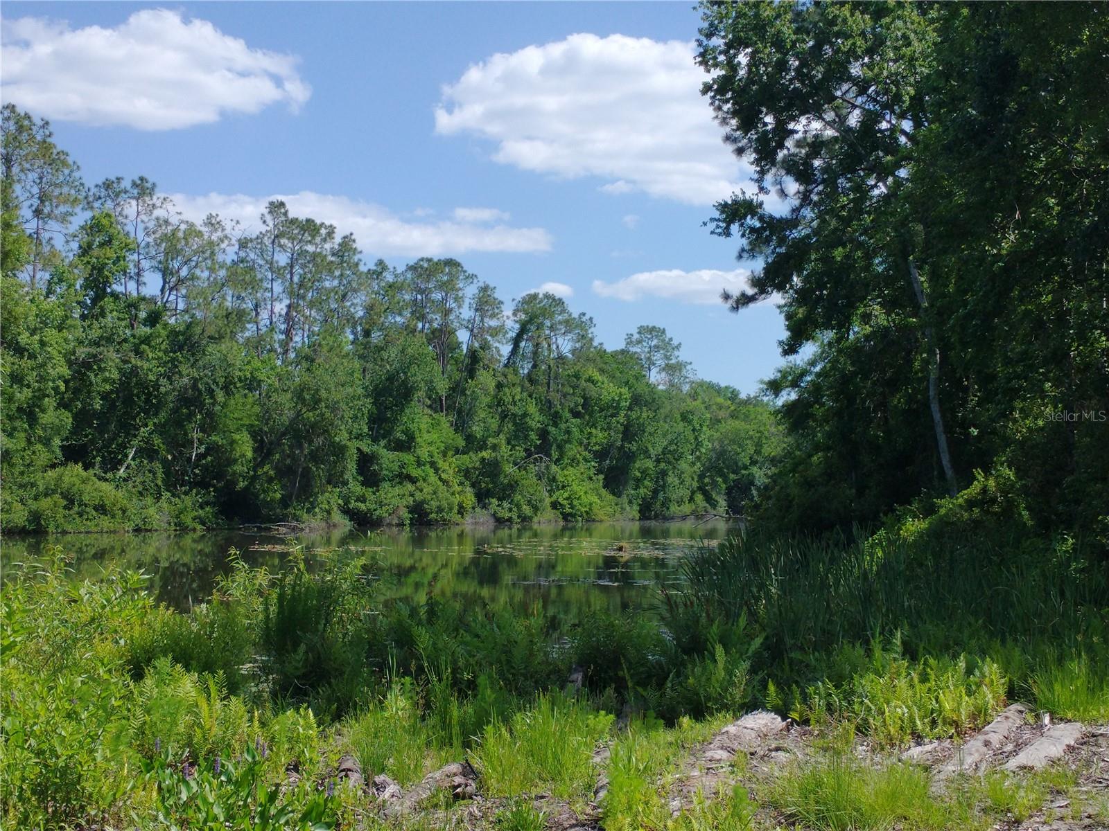 0000 EAGLE BLVD, LAND O LAKES, FL, 34639