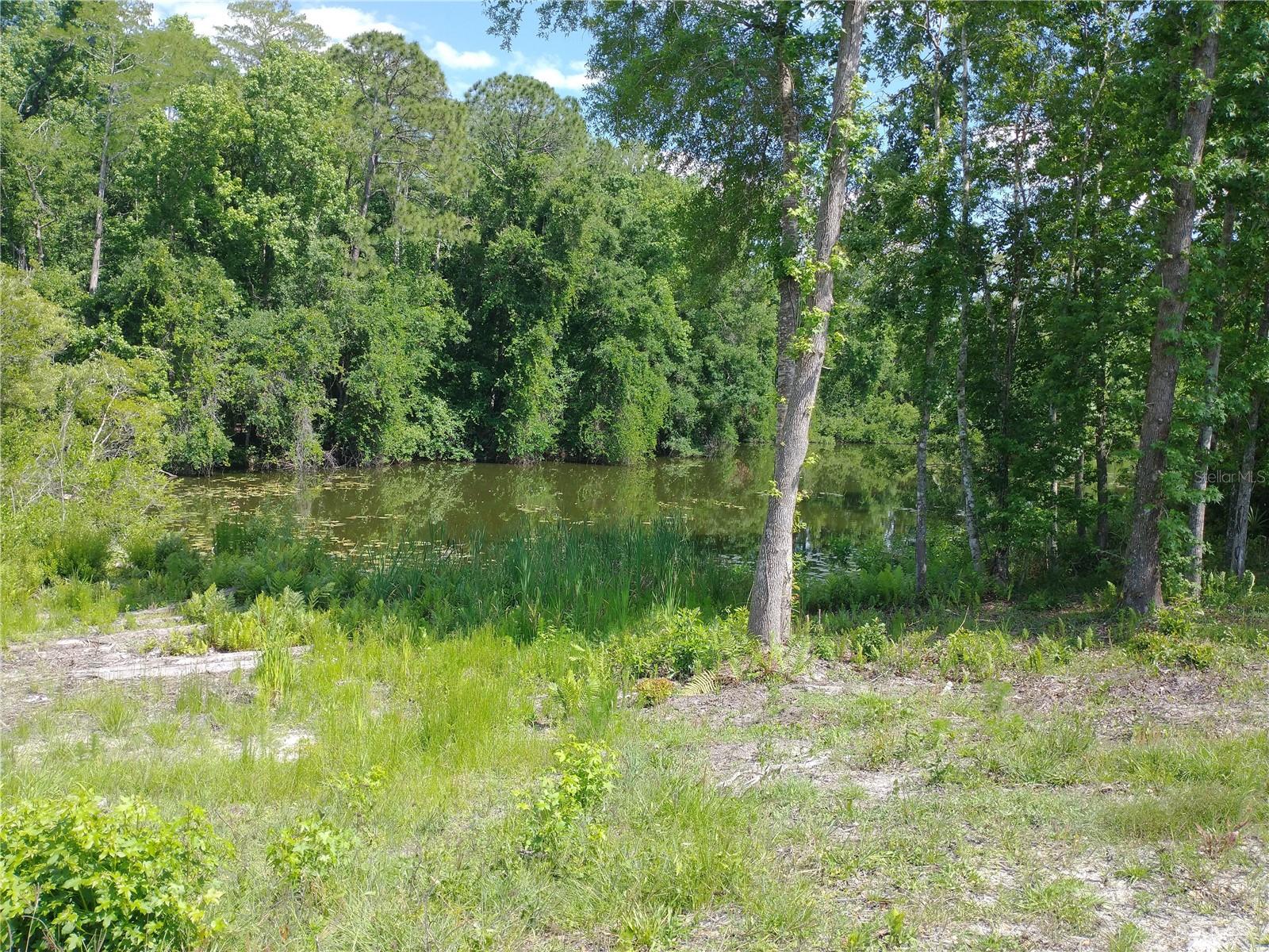 0000 EAGLE BLVD, LAND O LAKES, FL, 34639